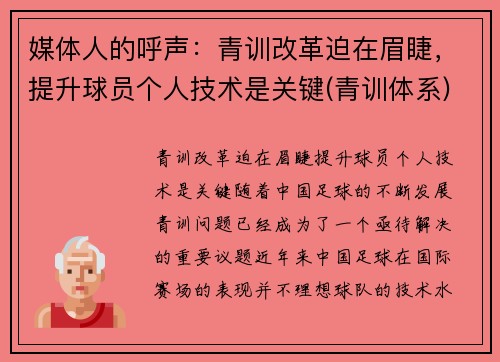 媒体人的呼声：青训改革迫在眉睫，提升球员个人技术是关键(青训体系)